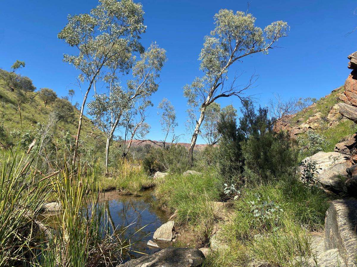 Wallaby Gap