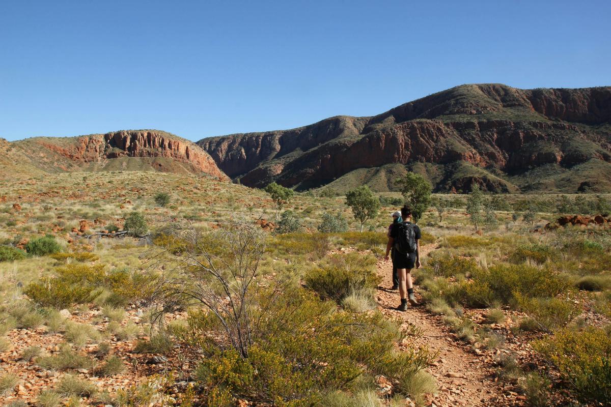 Walking towards Ormiston Gorge