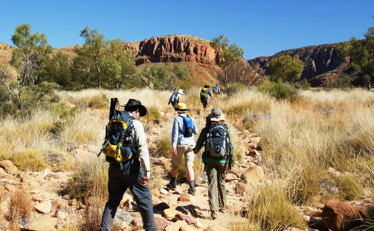 Larapinta Experience in Comfort - 4 Days