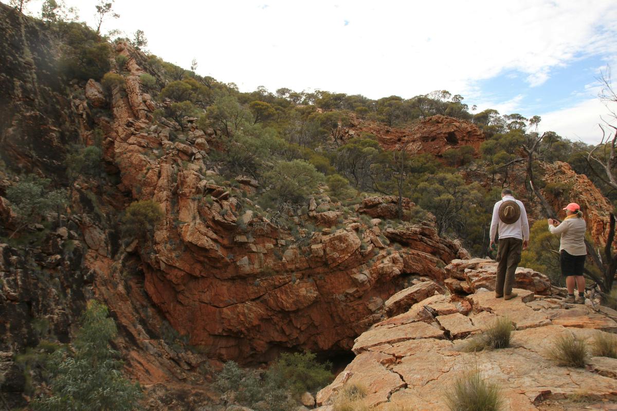 Classic Larapinta Trek in Comfort - 6 Days