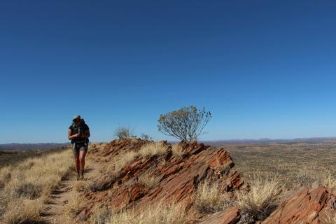 Classic Larapinta Trek in Comfort - 6 Days