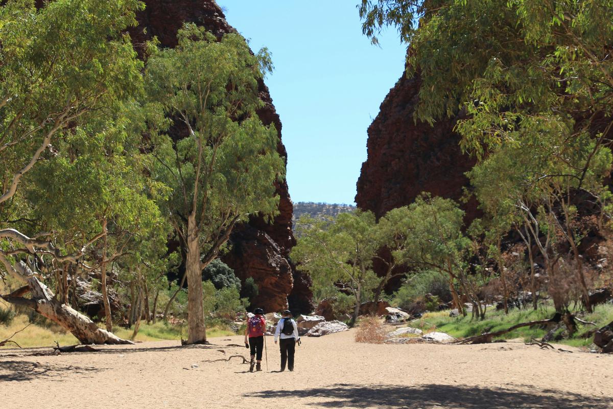 Classic Larapinta Trek in Comfort - 6 Days