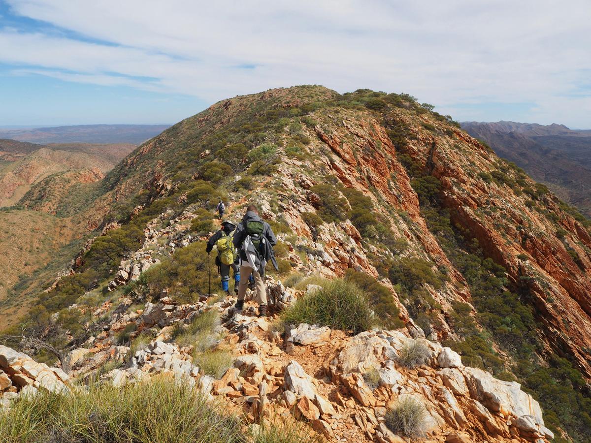 Best of the Larapinta Trail - 9 Days