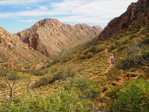 Australian Walking Holidays - Northern Territory