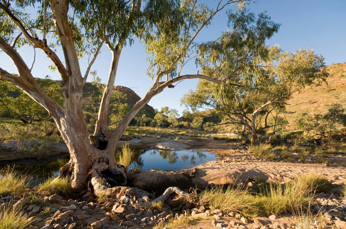 Larapinta End to End - 14 Days