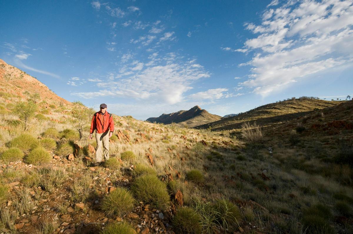 Larapinta End to End - 14 Days