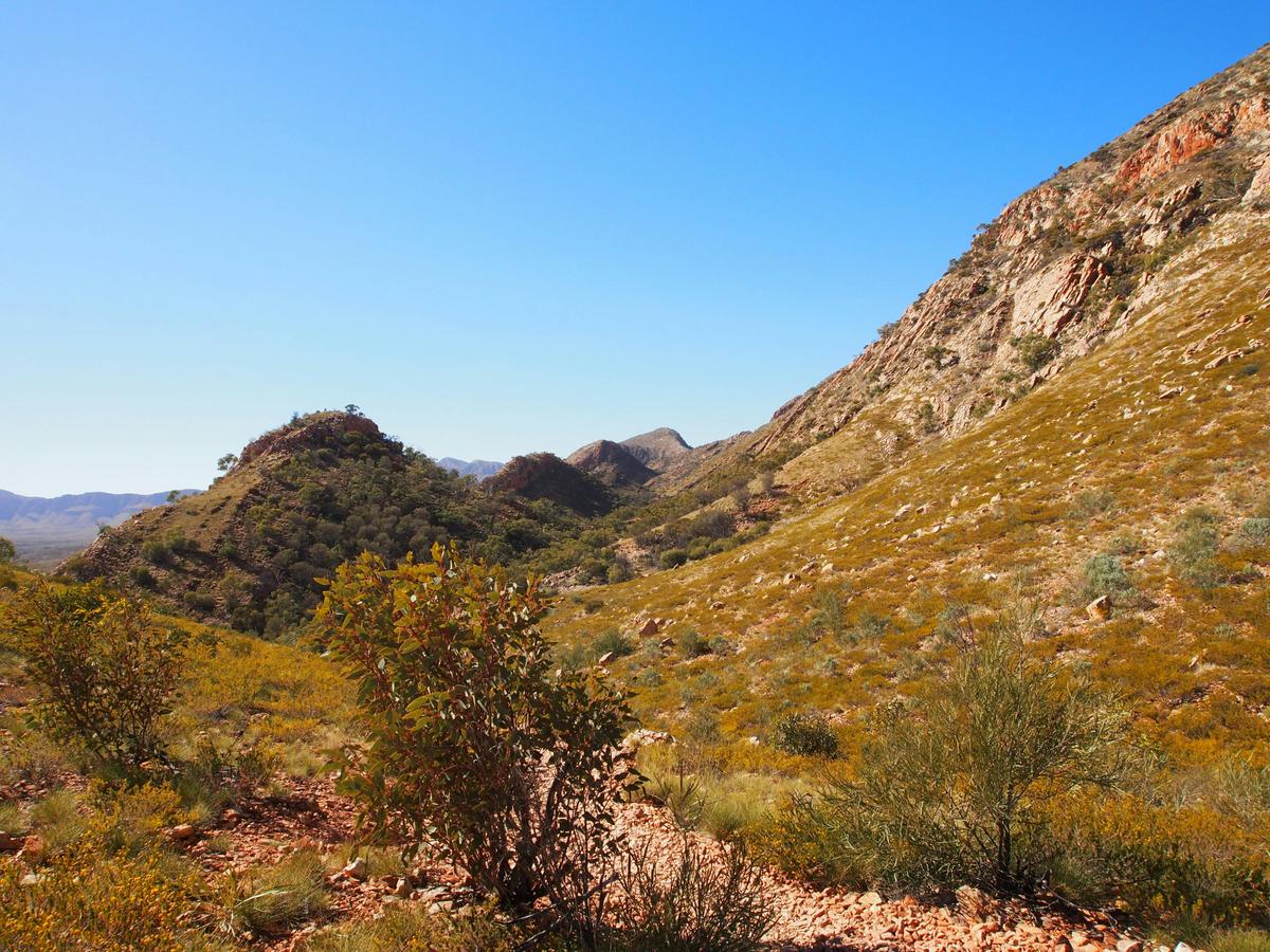 Larapinta End to End - 14 Days