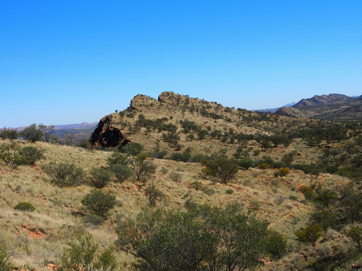Larapinta End to End - 14 Days