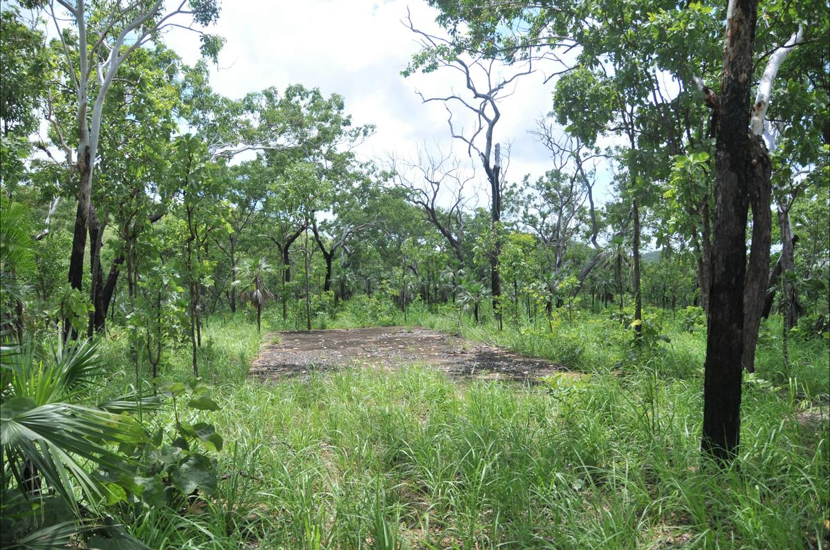 Concrete floor slabs in the bush.