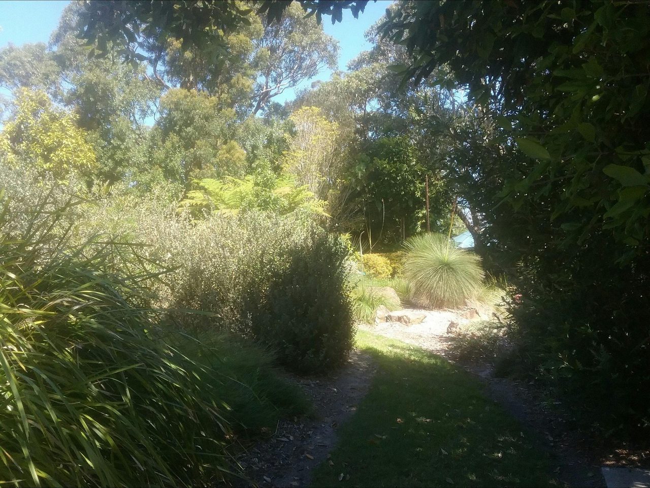 Shady walks