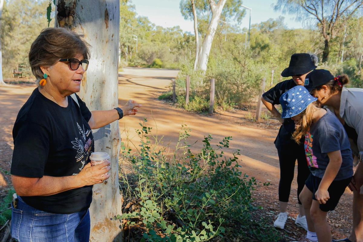 Kungkas Can Cook Olive Pink Botanic Garden Tour