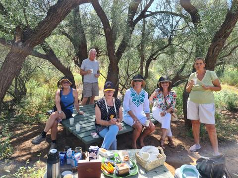 East MacDonnell Ranges Half Day Tour - Small Group