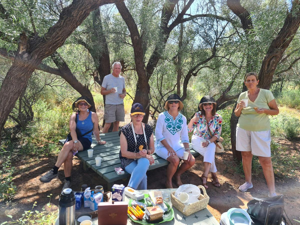 East MacDonnell Ranges Half Day Tour - Small Group