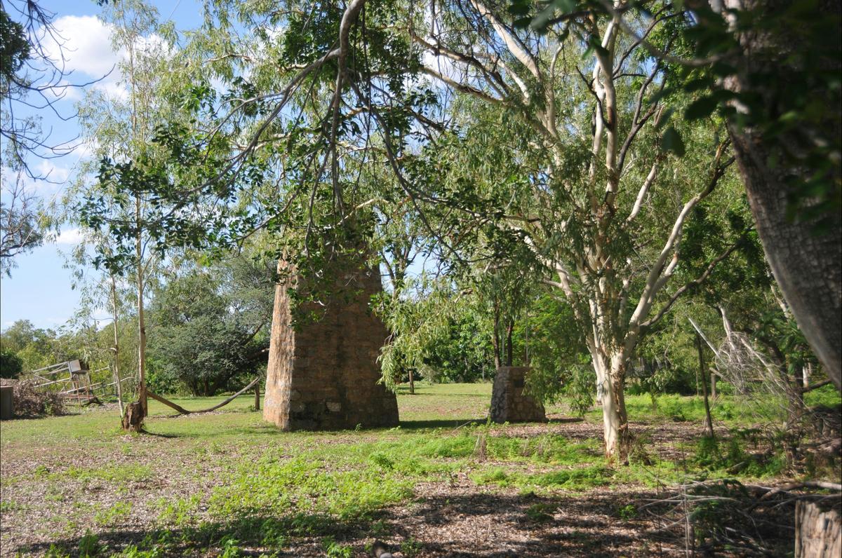 Pylon on the south bank of the Katherine River.