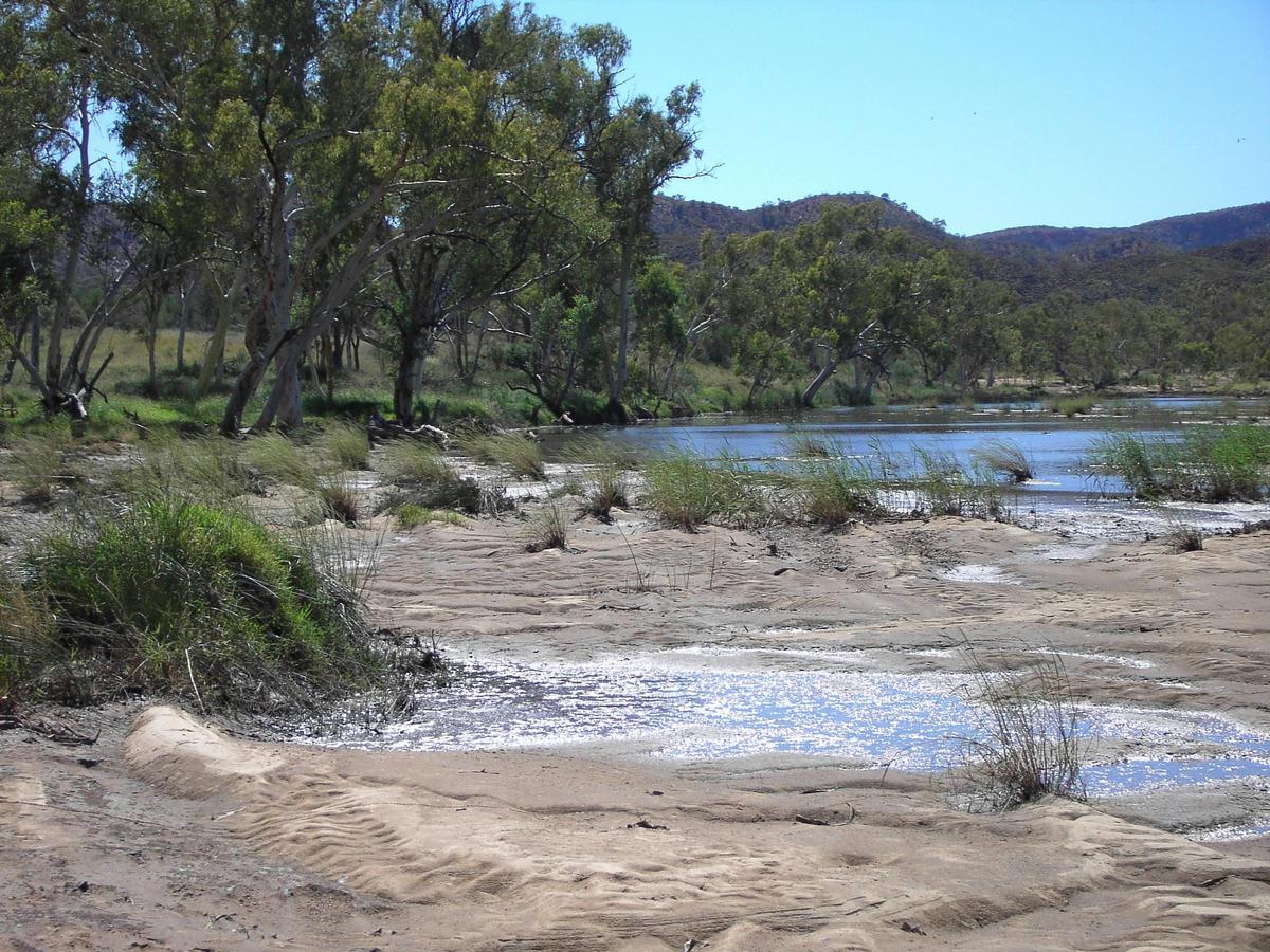 Finke River near the Finke River Trailhead along the Larapinta Trail