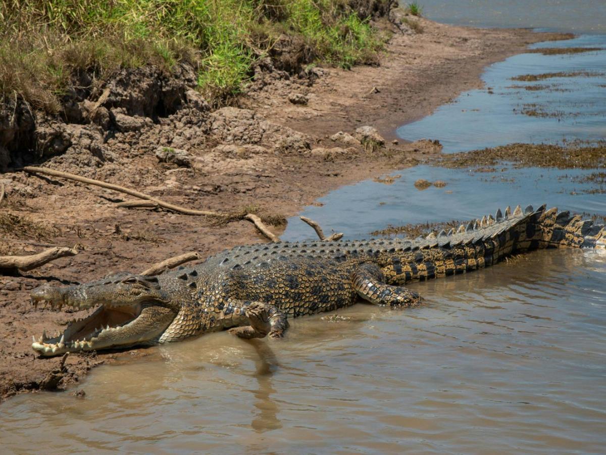 Kakadu Highlights Tour