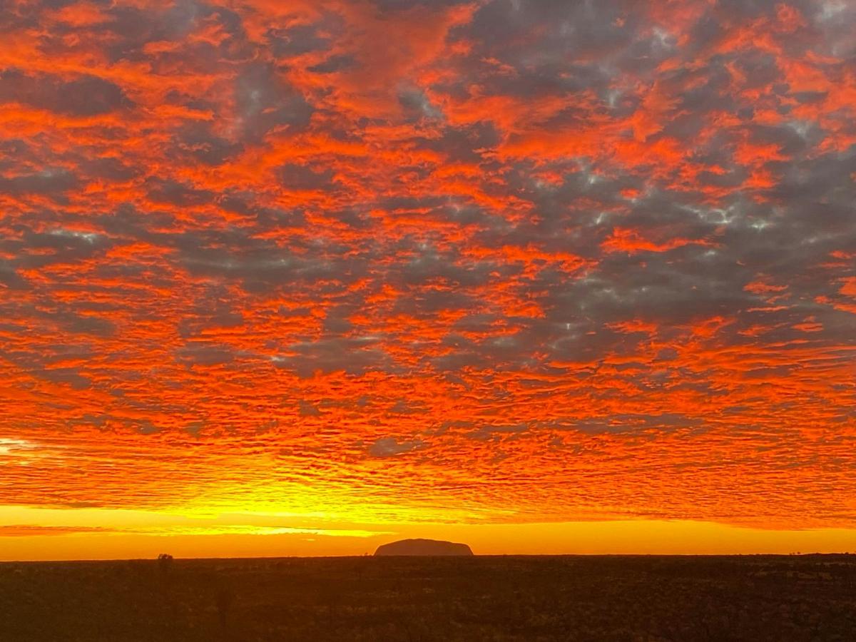 7-Day Explorers Way Alice Springs to Adelaide Accommodated Tour