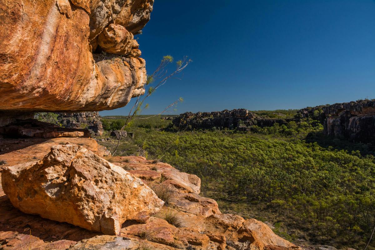 Kakadu Explorer Walking Tours