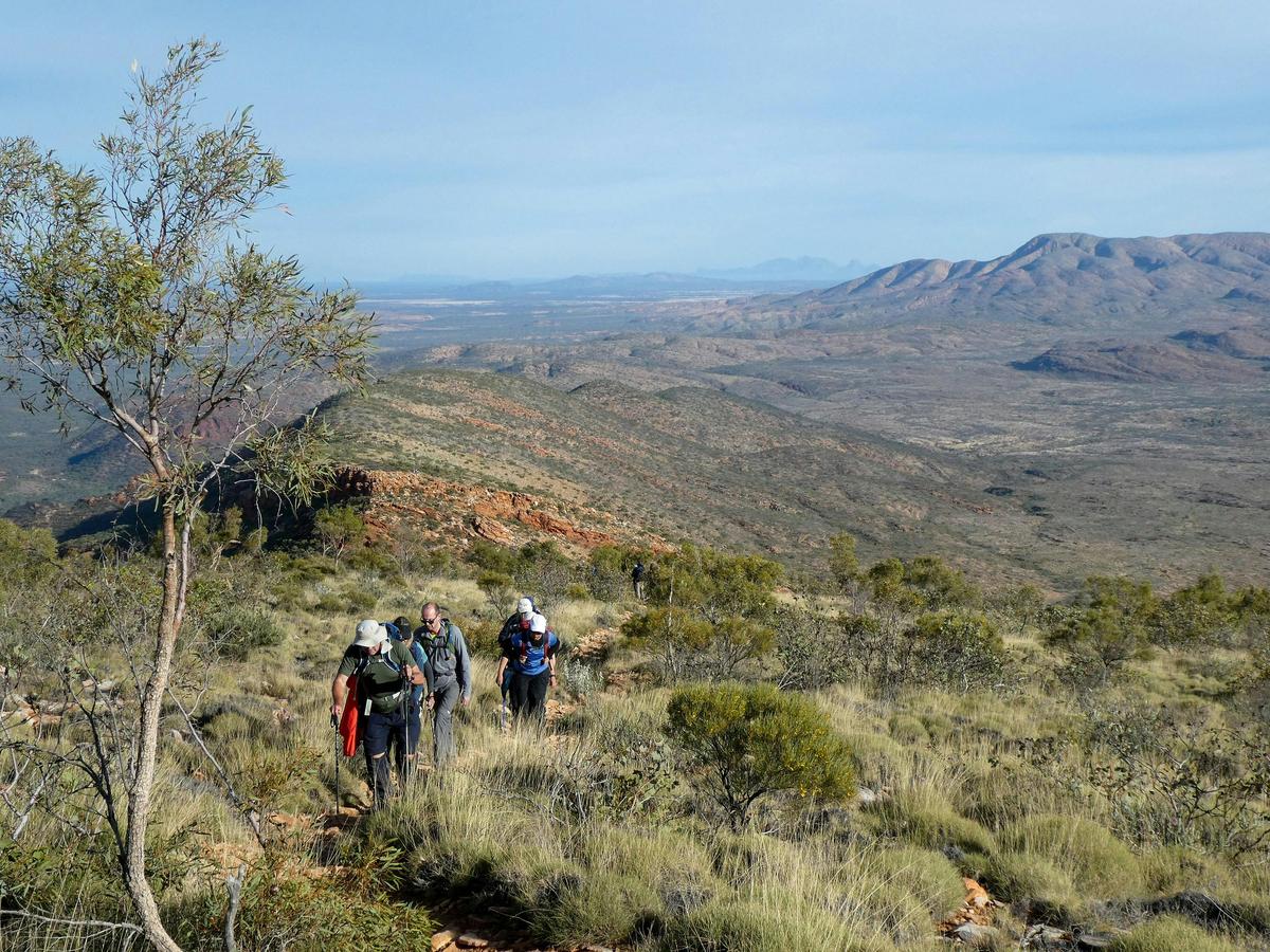 Hike the Larapinta Trail