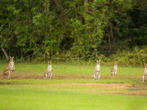Top End & Kakadu Adventure