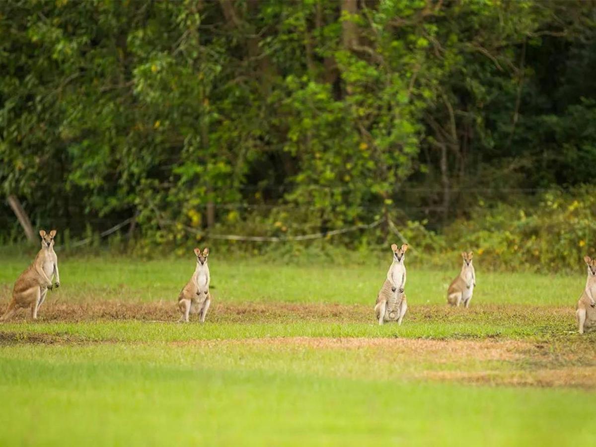 Top End & Kakadu Adventure