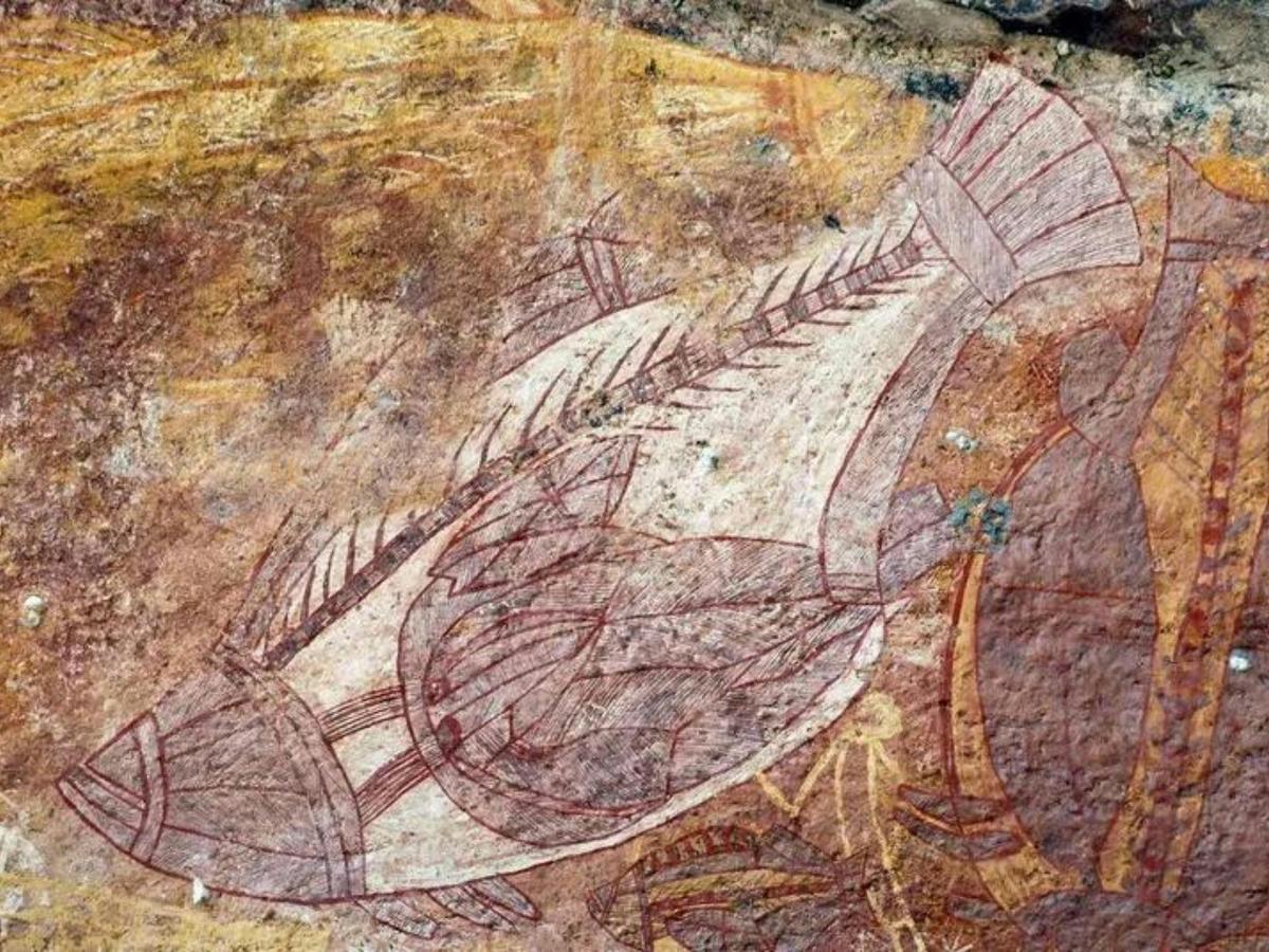 Top End & Kakadu Adventure