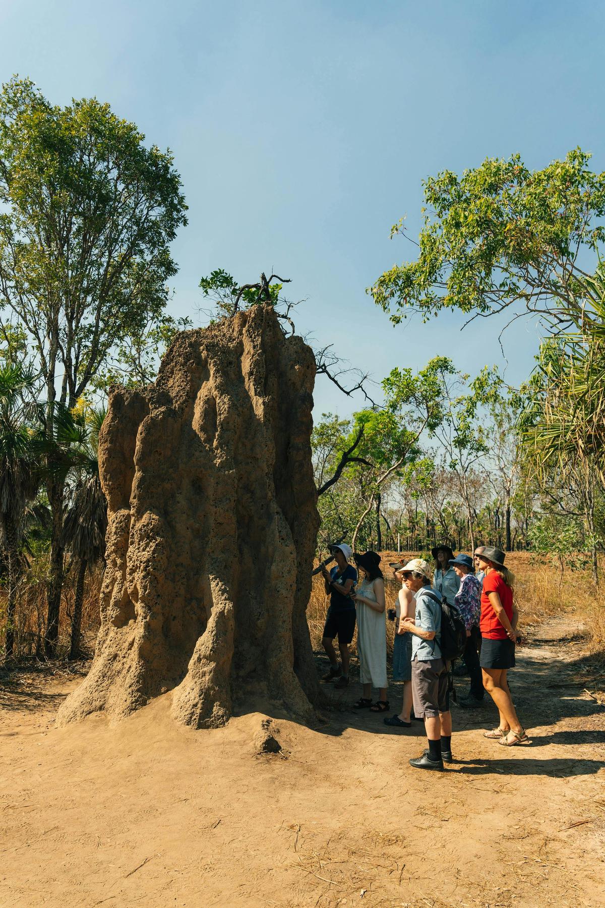 Best of the Top End & Kakadu