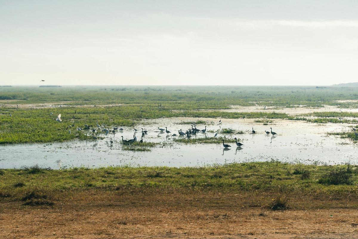 Walk Kakadu National Park