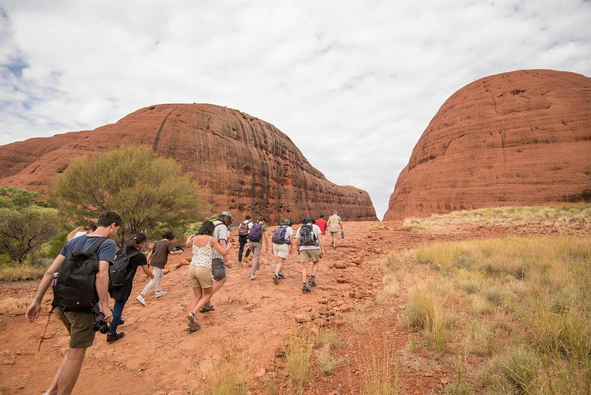 Uluru & Kata Tjuta Express
