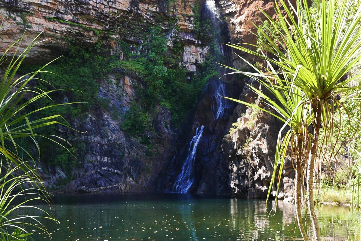 Tjaynera/Sandy Creek Falls