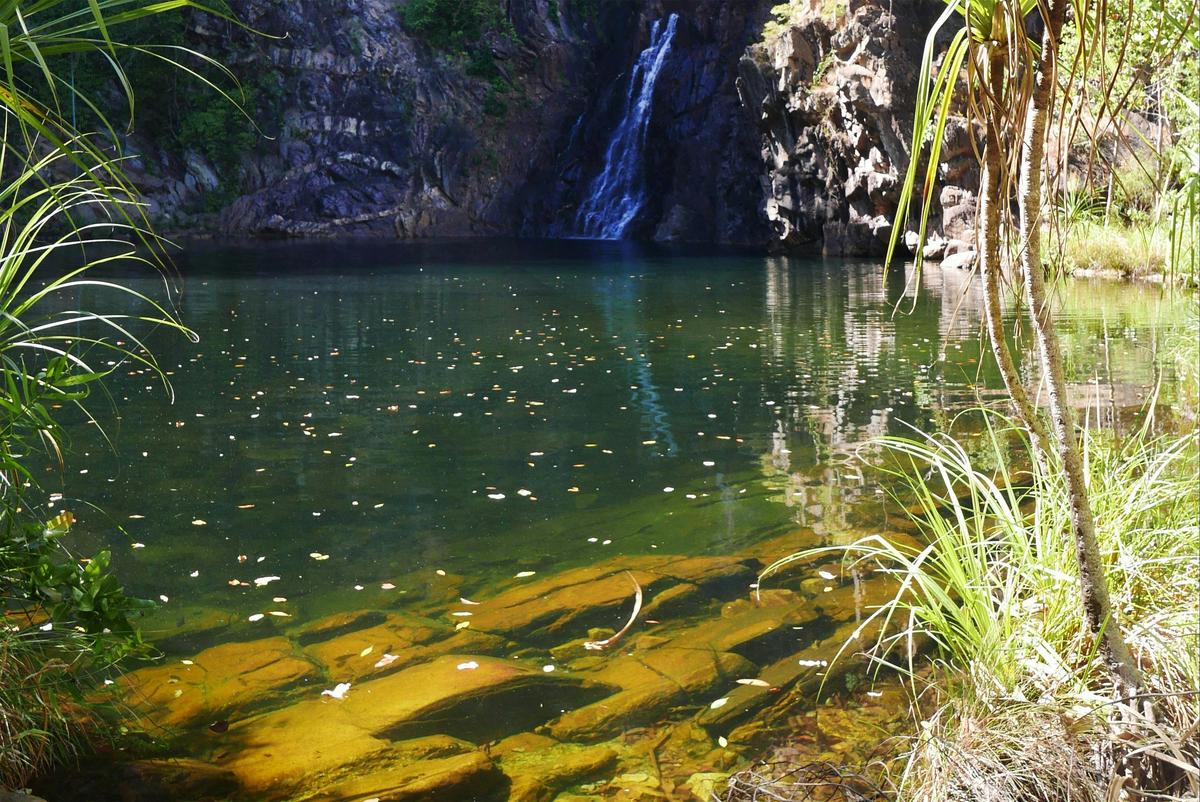 Tjaynera/Sandy Creek Falls