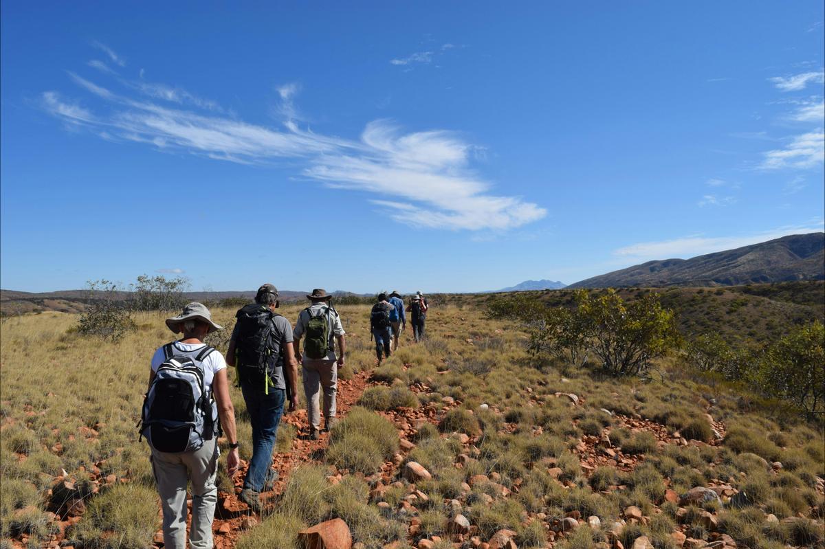 6 Day Larapinta Trek: highlights from the Larapinta Trail