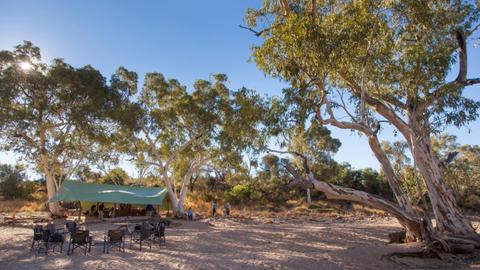 9 Day Larapinta Trek: a journey towards Mt Sonder