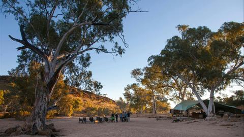 6 Day Larapinta Trek: highlights from the Larapinta Trail