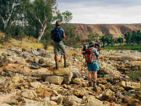 3 Day Larapinta Trail Experience