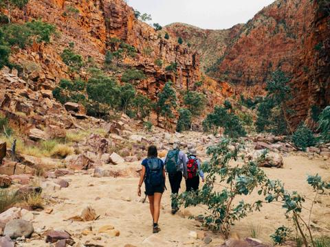 Trek Larapinta