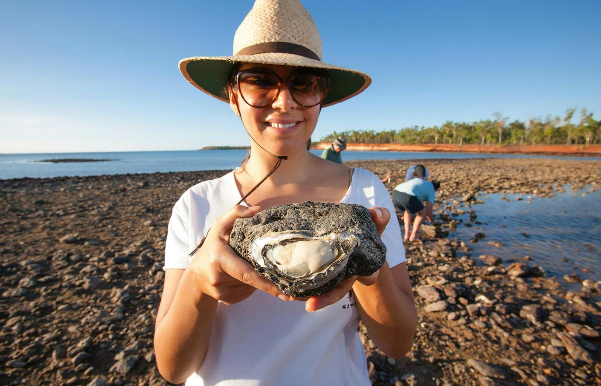 Collecting oysters - Cobourg Peninsula