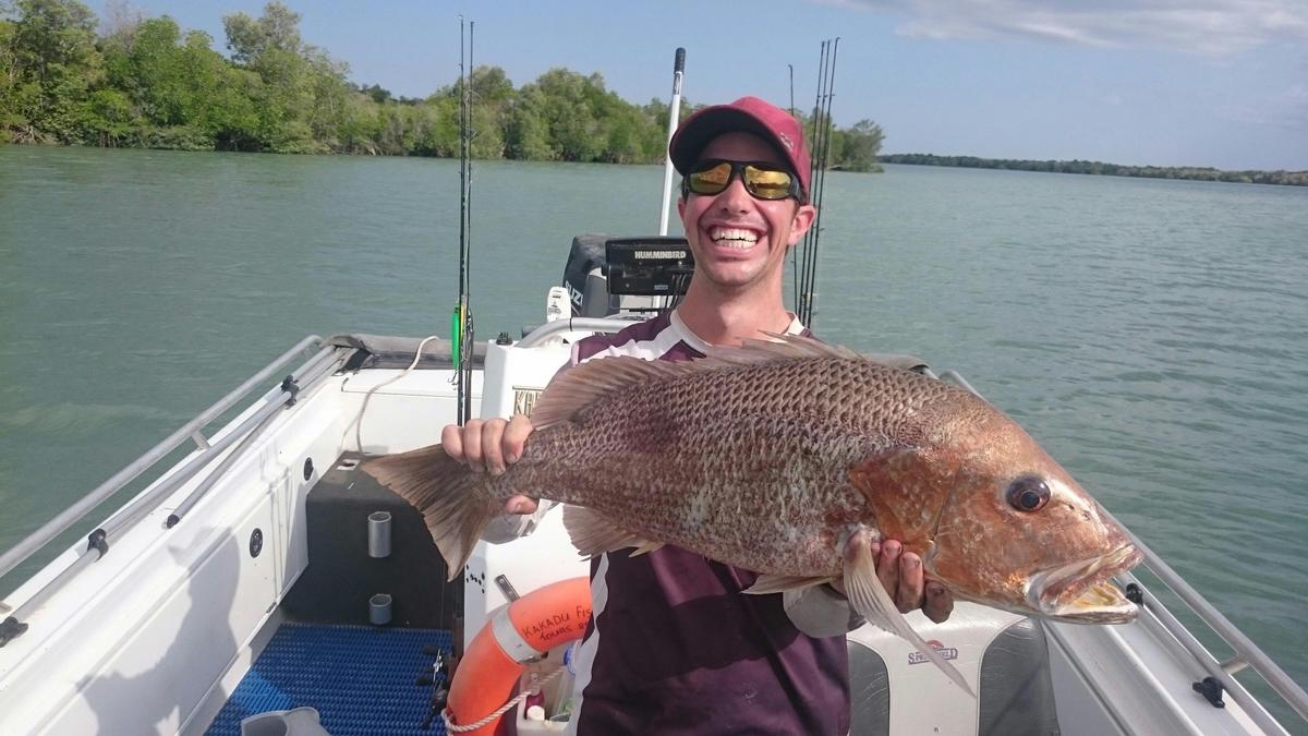 Kakadu Golden Snapper