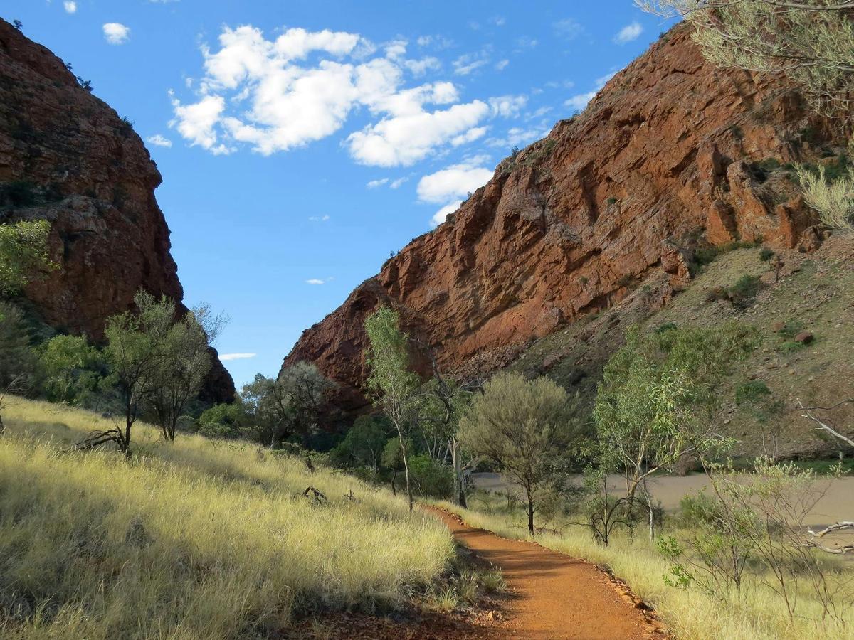 Simpsons Gap Tour