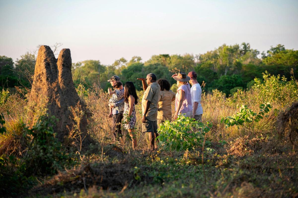 A group of people looking at a termite mound in Kakadu