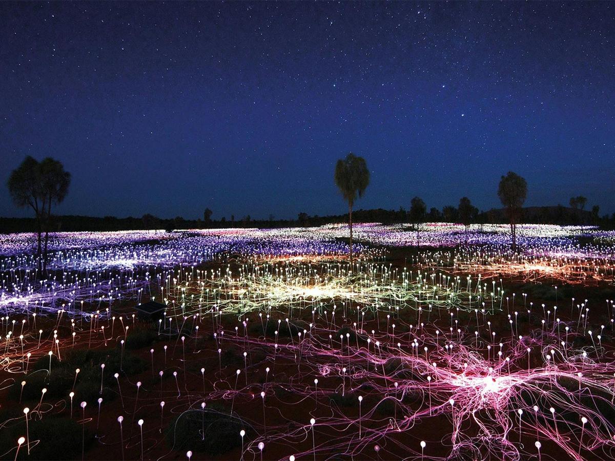 Uluru Sunrise & Field of Light | Half Day Tour