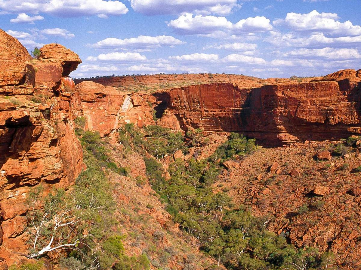 Kings Canyon & Outback Panoramas | Full Day Tour
