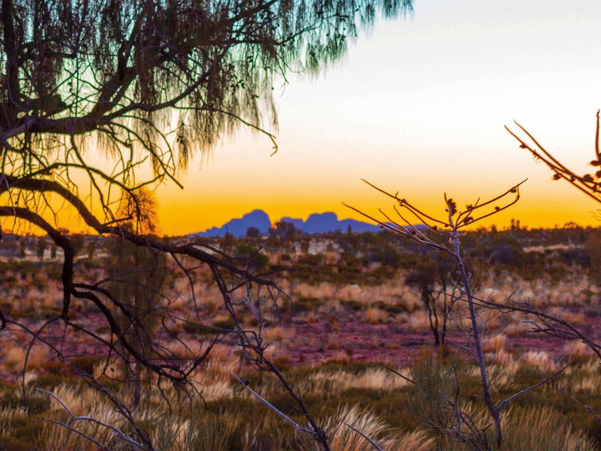Kata Tjuta Sunrise & Valley of the Winds Half Day Tour