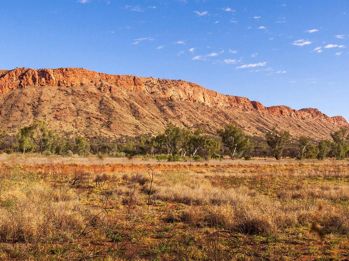 West MacDonnell Ranges | Half Day Tour