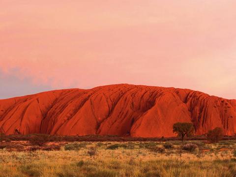 Uluru Sunrise & Field of Light | Half Day Tour