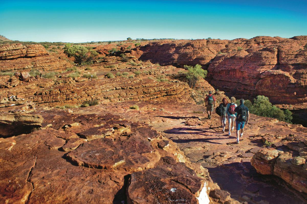 Explore Kings Canyon