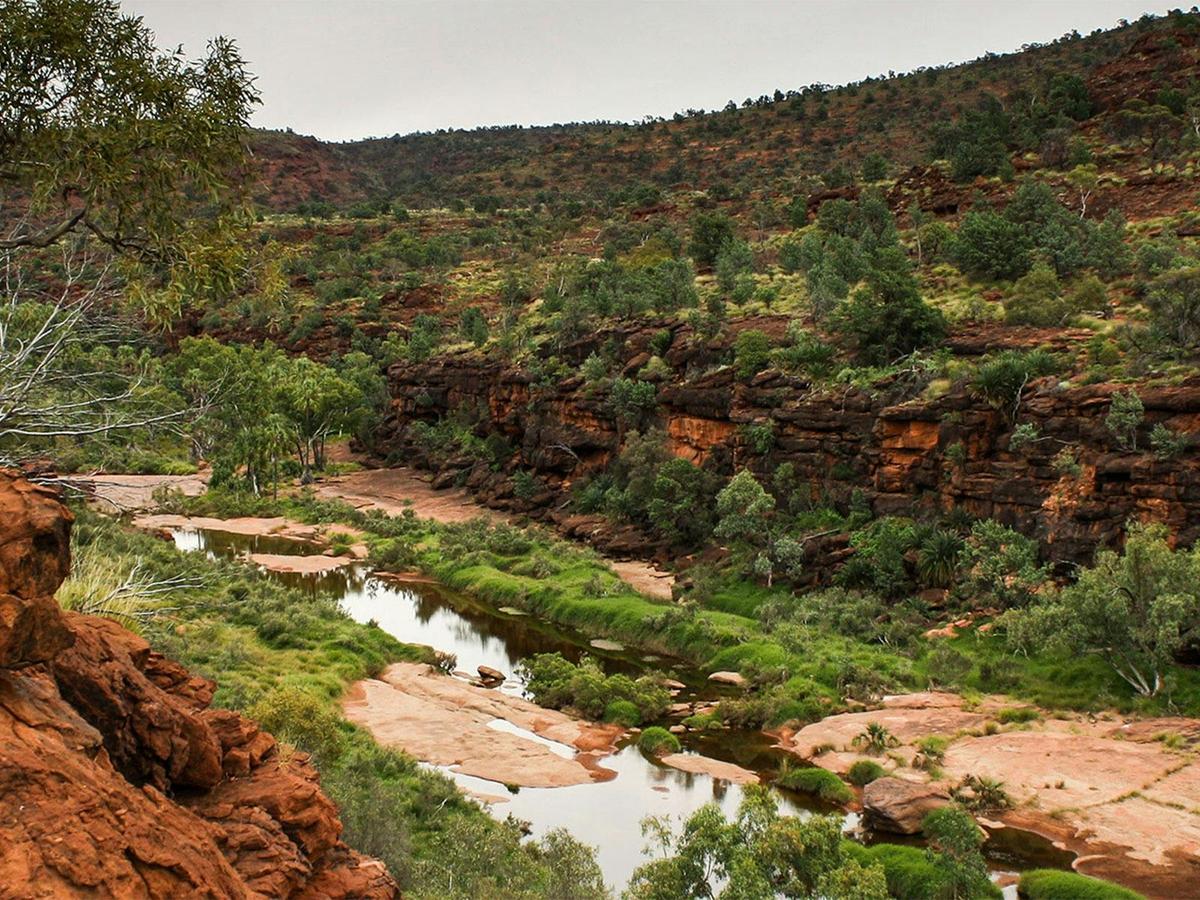 Palm Valley Outback Safari by 4WD | Full Day Tour