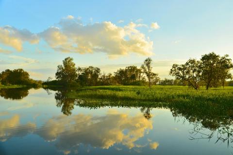 Kakadu and Katherine Gorge Full Day Tour