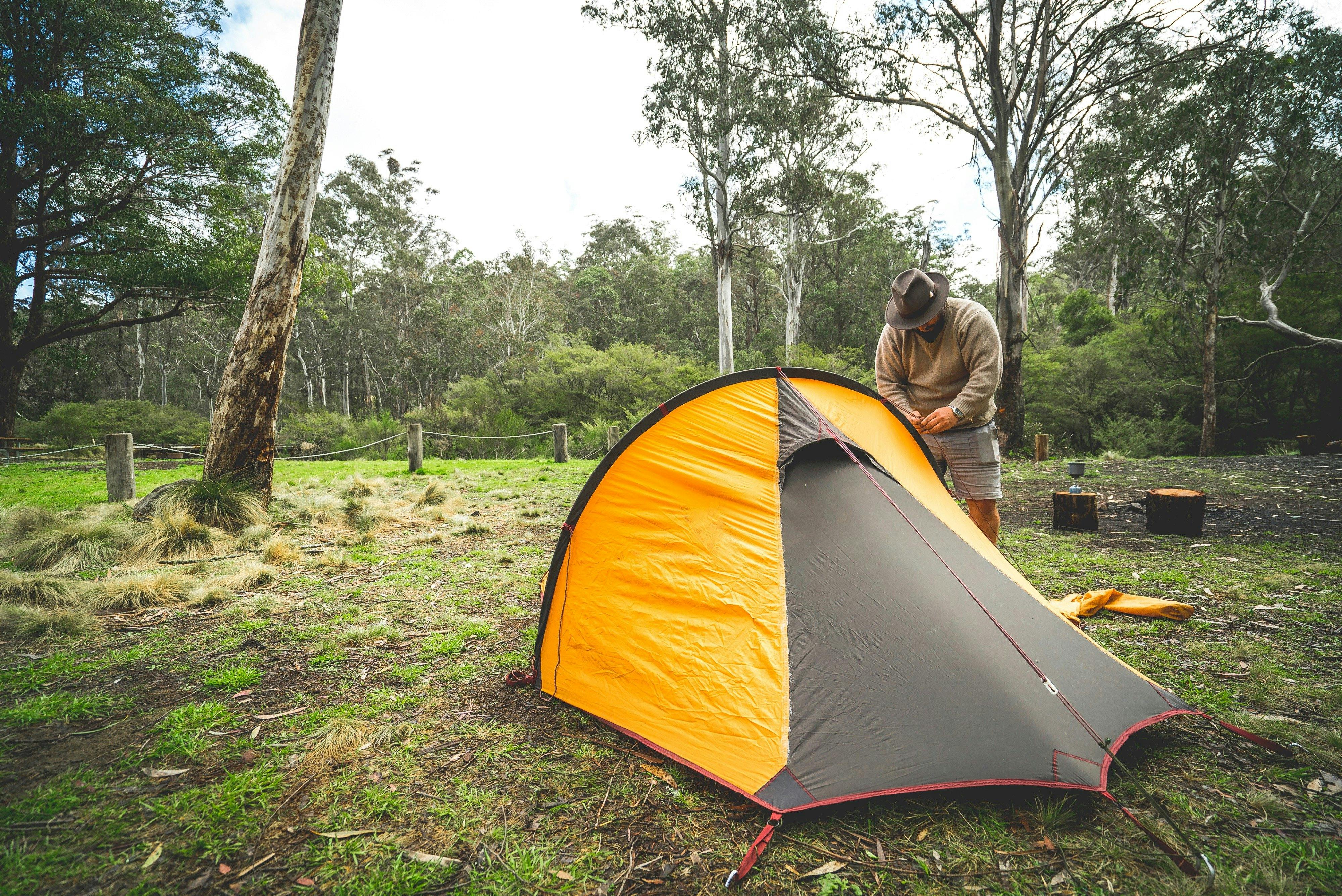 Camping in Barrington Tops State Forest is free