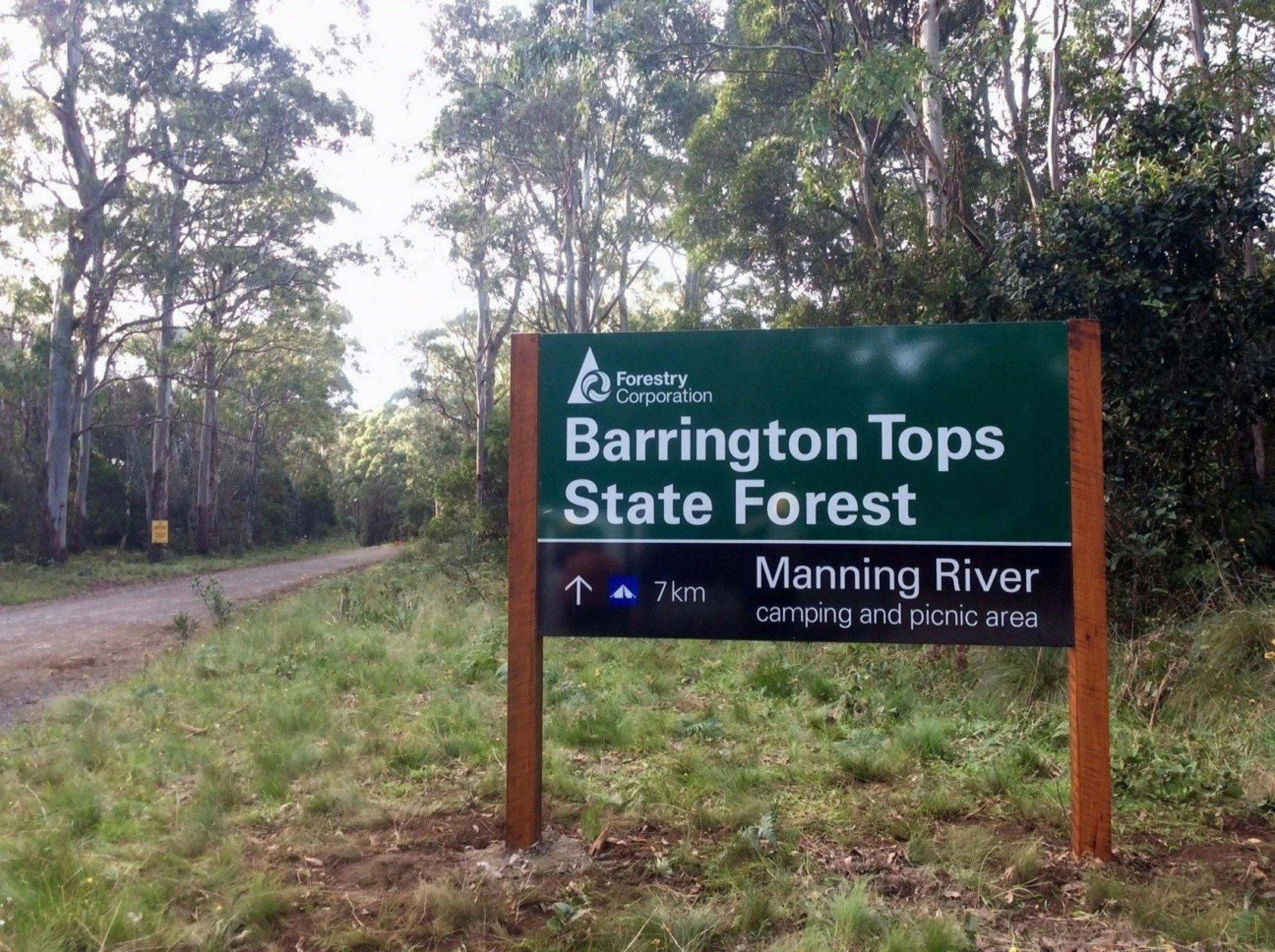 Welcome to Barrington Tops State Forest